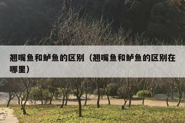 翘嘴鱼和鲈鱼的区别（翘嘴鱼和鲈鱼的区别在哪里）