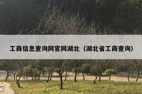 工商信息查询网官网湖北（湖北省工商查询）