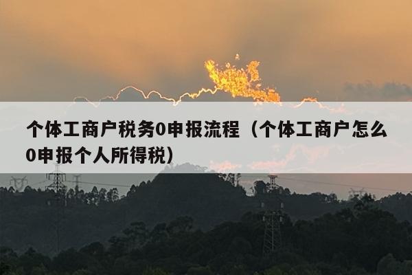 个体工商户税务0申报流程（个体工商户怎么0申报个人所得税）