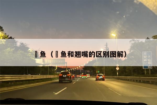 鲌鱼（鲌鱼和翘嘴的区别图解）