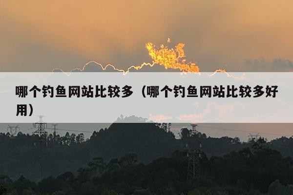 哪个钓鱼网站比较多（哪个钓鱼网站比较多好用）