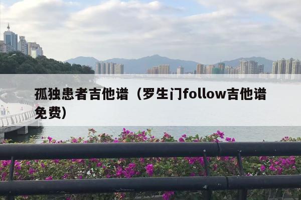 孤独患者吉他谱（罗生门follow吉他谱免费）