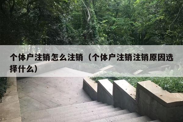 个体户注销怎么注销（个体户注销注销原因选择什么）