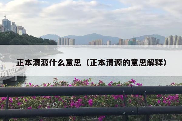 正本清源什么意思（正本清源的意思解释）
