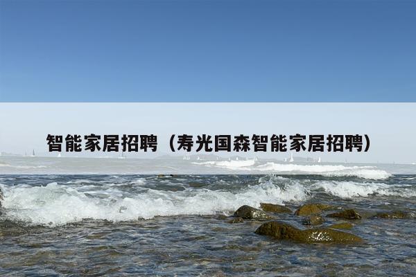 智能家居招聘（寿光国森智能家居招聘）