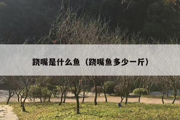 跷嘴是什么鱼（跷嘴鱼多少一斤）