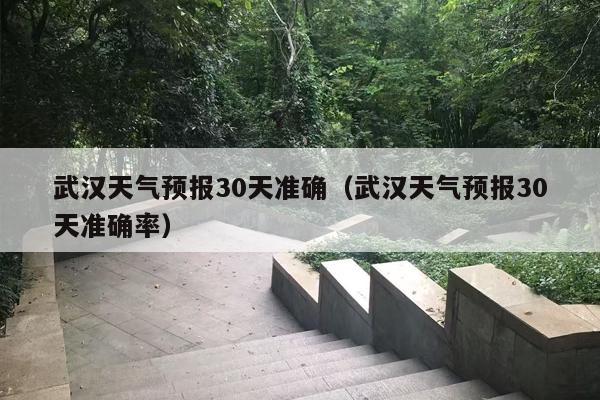 武汉天气预报30天准确（武汉天气预报30天准确率）