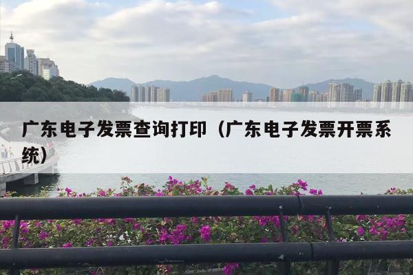 广东电子发票查询打印（广东电子发票开票系统）