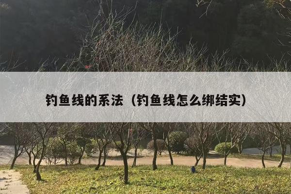 钓鱼线的系法（钓鱼线怎么绑结实）