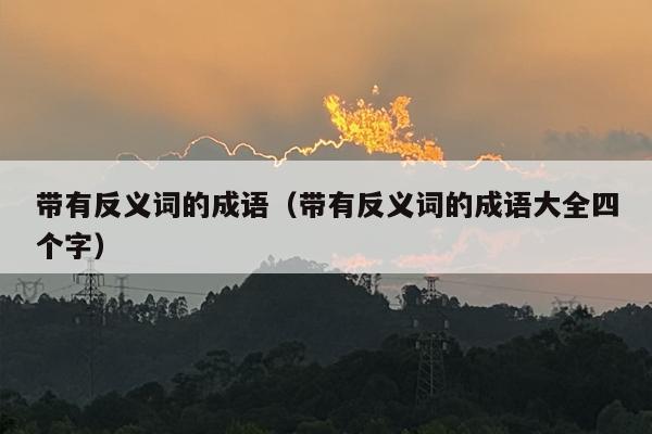 带有反义词的成语（带有反义词的成语大全四个字）