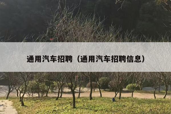 通用汽车招聘（通用汽车招聘信息）