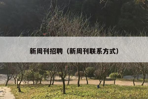 新周刊招聘（新周刊联系方式）