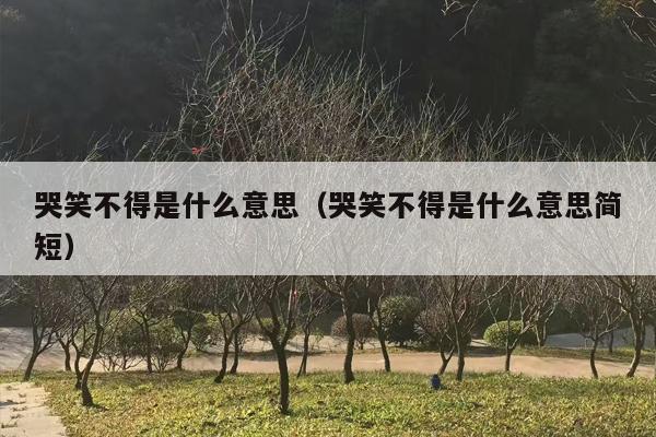 哭笑不得是什么意思（哭笑不得是什么意思简短）