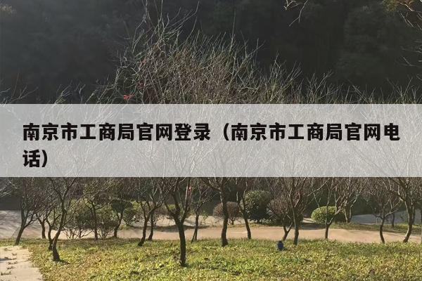 南京市工商局官网登录（南京市工商局官网电话）