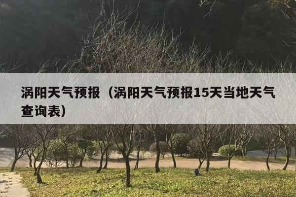 涡阳天气预报（涡阳天气预报15天当地天气查询表）