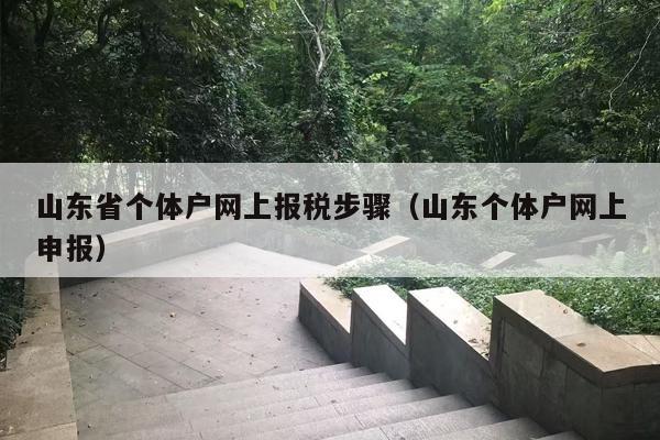 山东省个体户网上报税步骤（山东个体户网上申报）