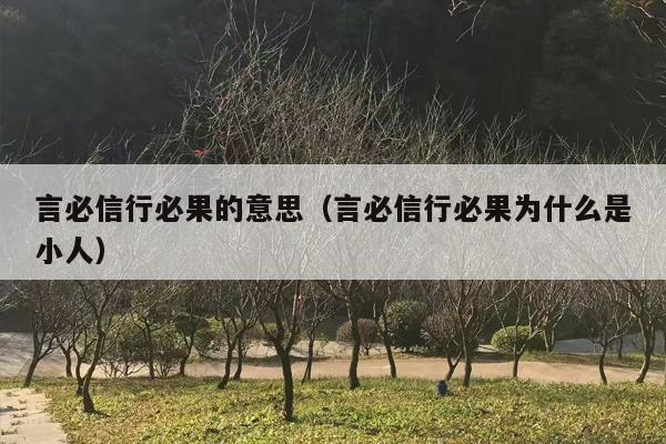 言必信行必果的意思（言必信行必果为什么是小人）