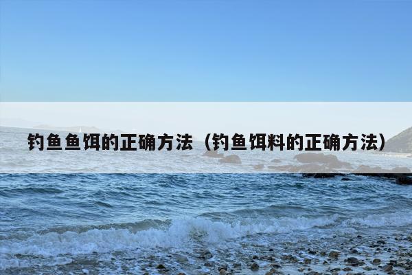 钓鱼鱼饵的正确方法（钓鱼饵料的正确方法）