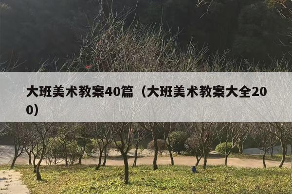 大班美术教案40篇（大班美术教案大全200）