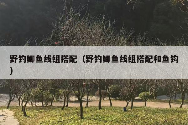 野钓鲫鱼线组搭配（野钓鲫鱼线组搭配和鱼钩）
