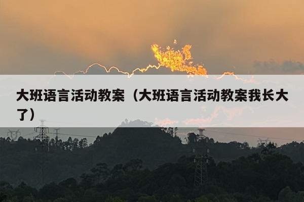 大班语言活动教案（大班语言活动教案我长大了）