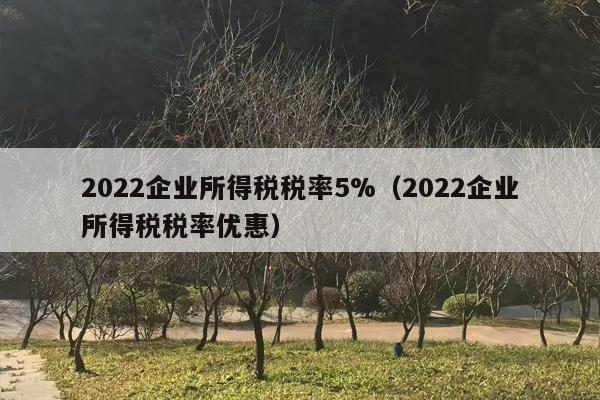 2022企业所得税税率5%（2022企业所得税税率优惠）