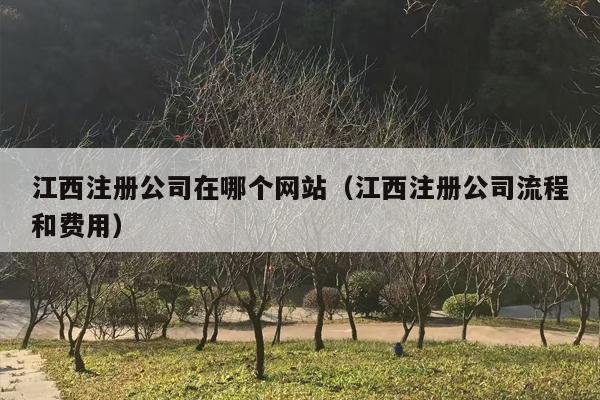 江西注册公司在哪个网站（江西注册公司流程和费用）