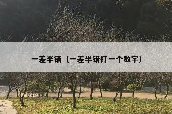 一差半错（一差半错打一个数字）
