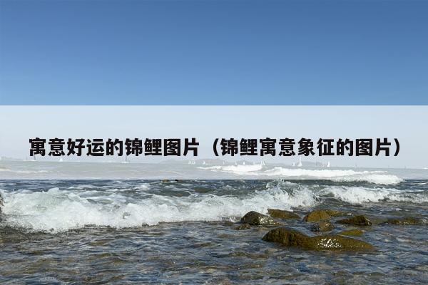 寓意好运的锦鲤图片（锦鲤寓意象征的图片）