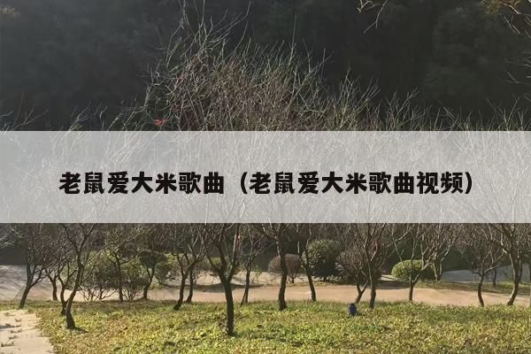 老鼠爱大米歌曲（老鼠爱大米歌曲视频）