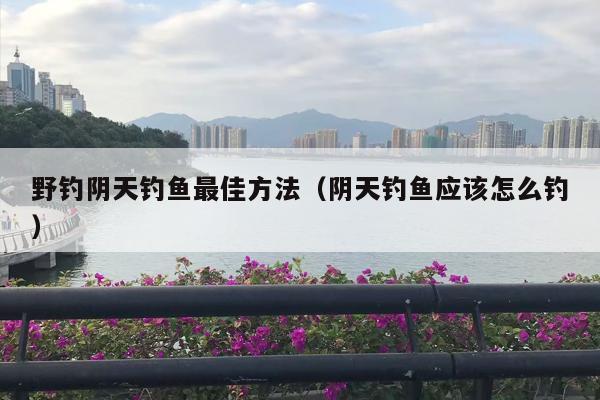 野钓阴天钓鱼最佳方法（阴天钓鱼应该怎么钓）