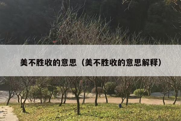 美不胜收的意思（美不胜收的意思解释）