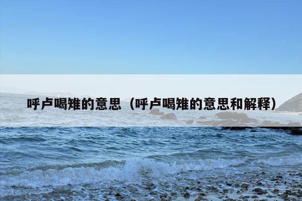 呼卢喝雉的意思（呼卢喝雉的意思和解释）