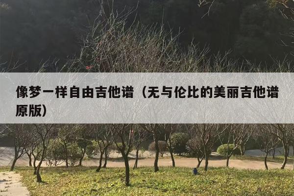 像梦一样自由吉他谱（无与伦比的美丽吉他谱原版）