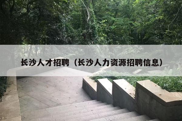 长沙人才招聘（长沙人力资源招聘信息）