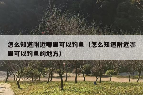 怎么知道附近哪里可以钓鱼（怎么知道附近哪里可以钓鱼的地方）