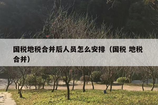 国税地税合并后人员怎么安排（国税 地税 合并）