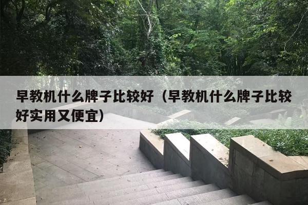早教机什么牌子比较好（早教机什么牌子比较好实用又便宜）