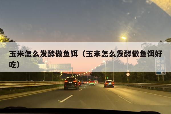 玉米怎么发酵做鱼饵（玉米怎么发酵做鱼饵好吃）
