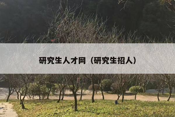 研究生人才网（研究生招人）