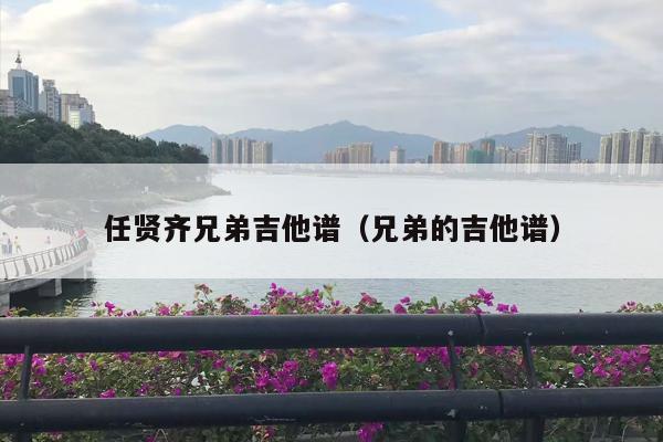 任贤齐兄弟吉他谱（兄弟的吉他谱）