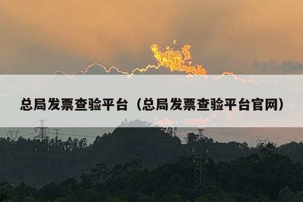 总局发票查验平台（总局发票查验平台官网）