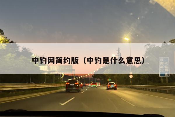 中钓网简约版（中钓是什么意思）
