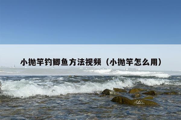 小抛竿钓鲫鱼方法视频（小抛竿怎么用）