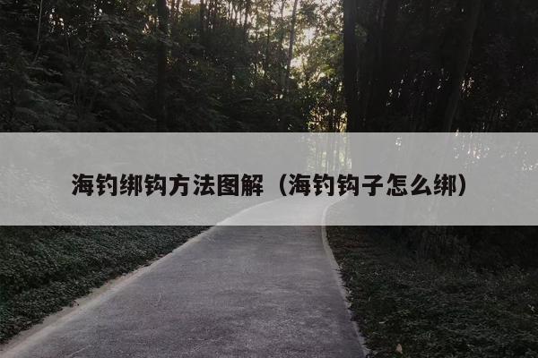 海钓绑钩方法图解（海钓钩子怎么绑）
