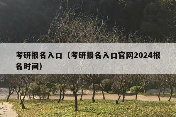 考研报名入口（考研报名入口官网2024报名时间）