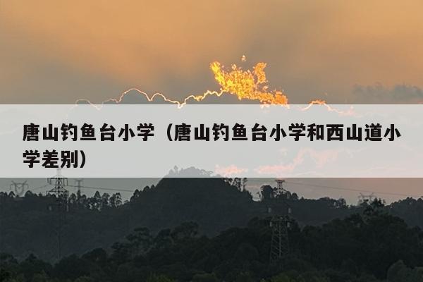 唐山***小学（唐山***小学和西山道小学差别）