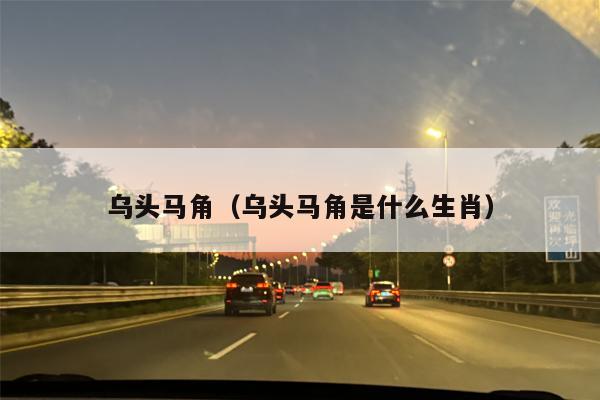 乌头马角（乌头马角是什么生肖）