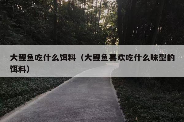大鲤鱼吃什么饵料（大鲤鱼喜欢吃什么味型的饵料）