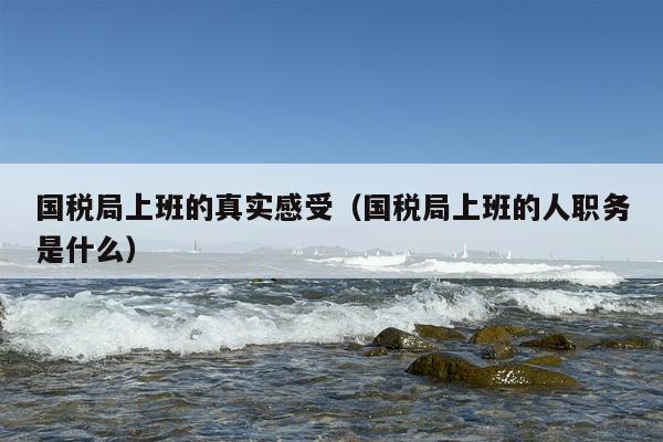 国税局上班的真实感受（国税局上班的人职务是什么）